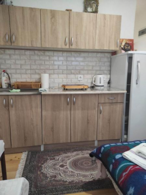 Apartment Mountain Dream Žabljak